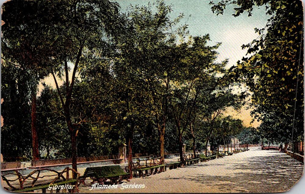 The Alameda Gardens in Gibraltar Vintage Postcard SP17-30